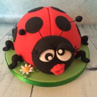 Ladybird Cake