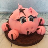 Pig Cake